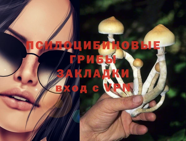 твердый Михайловка